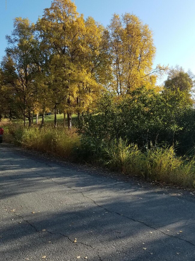 fall 4