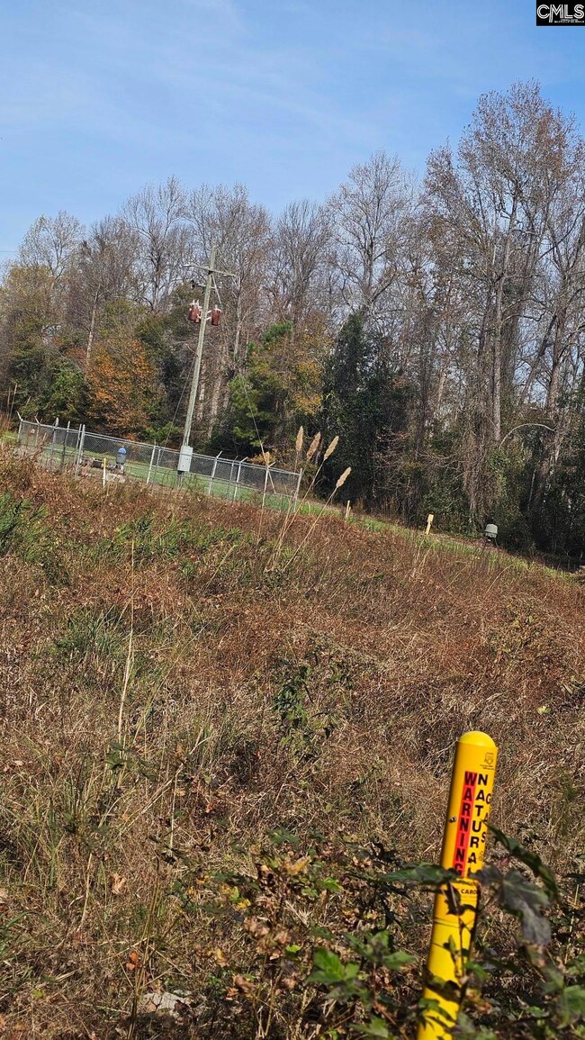 4079 Jefferson Davis Hwy, Bethune, SC 29009 - photo 5