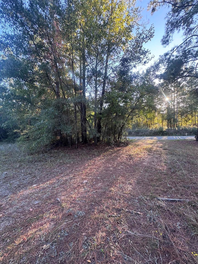 153 Davidson St, Quincy, FL 32351 - photo 2