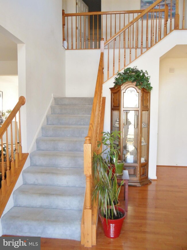 2644 Basingstoke Ln, Bryans Road, MD 20616 - photo 3