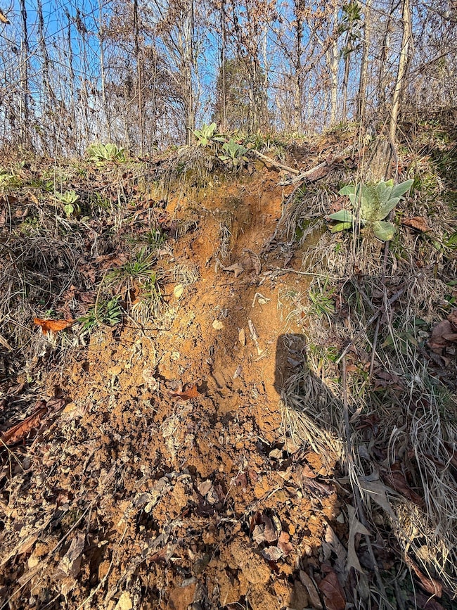 0 Hellsneck Ln unit 25649761, Waverly, TN 37185 - photo 7