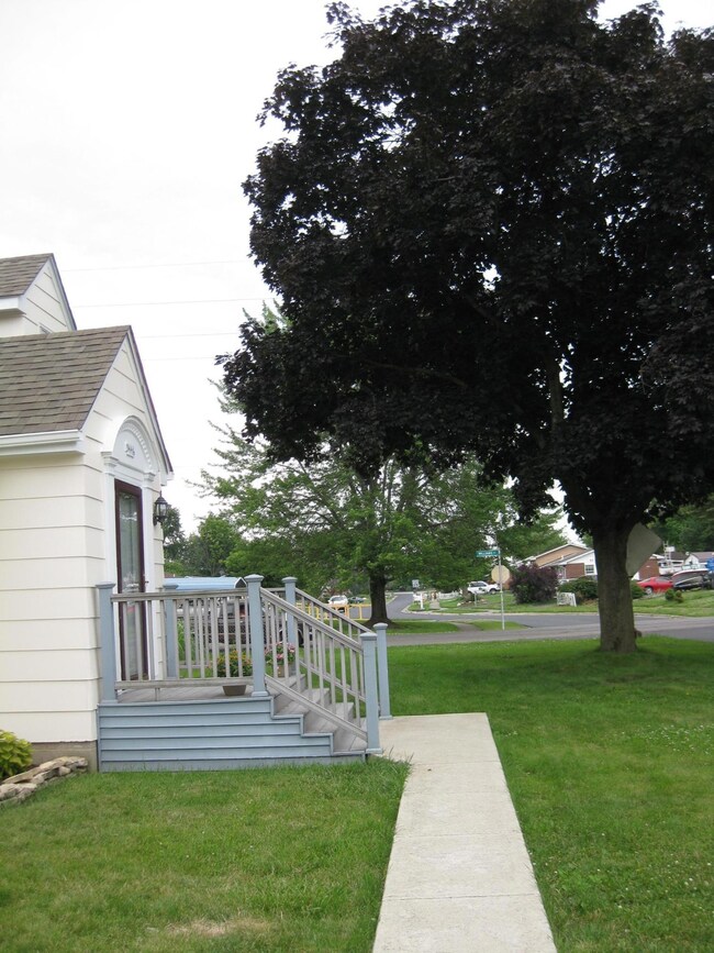 Corner Lot