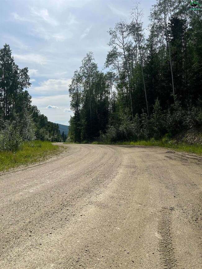 NHN Snowbasin Rd, Fairbanks, AK 99709 - photo 5