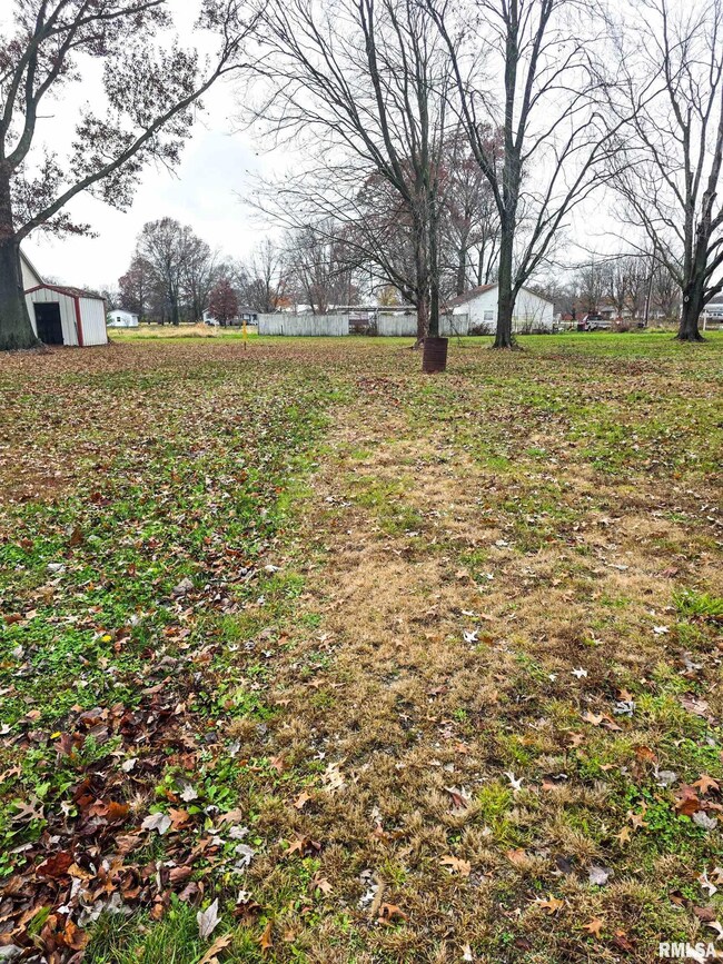 101 S Watkins St, Cisne, IL 62823 - photo 4