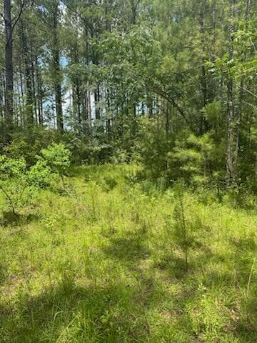 00 Longleaf Dr, Petal, MS 39465 - photo 2