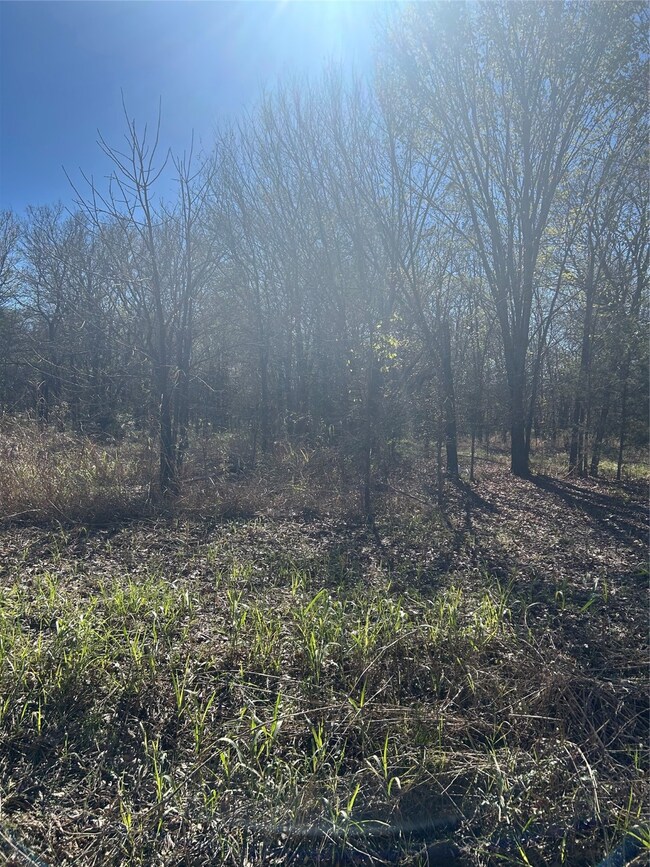 TBD County Road 27300, Honey Grove, TX 75446 - photo 6