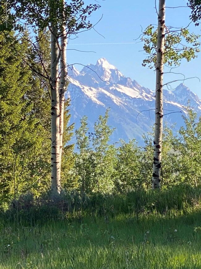 Grand Teton