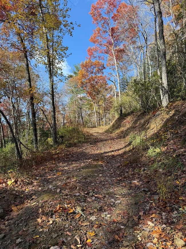 65 Acre Long Branch Rd, Topton, NC 28781 - photo 6