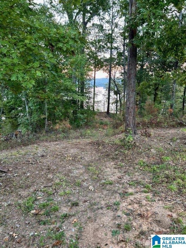 94 County Road 258, Clanton, AL 35046 - photo 6