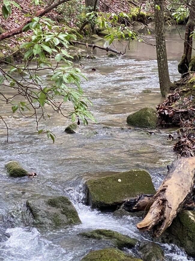 Lot 11 Thomas Springs Rd, Crossville, TN 38572 - photo 7