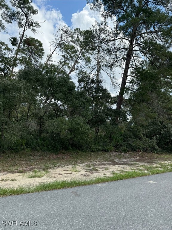 View from back of the lot