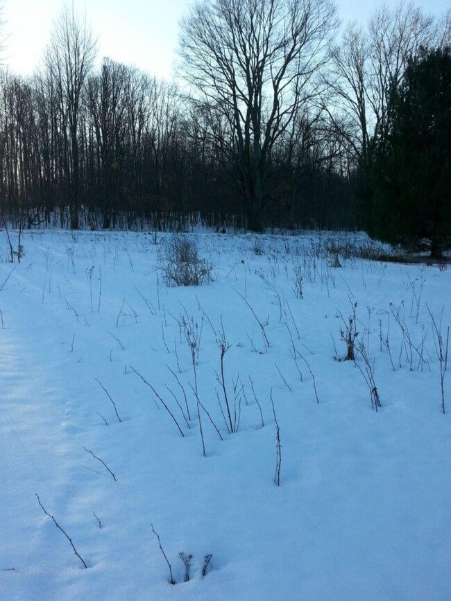Mocking Bird Lane.jpg