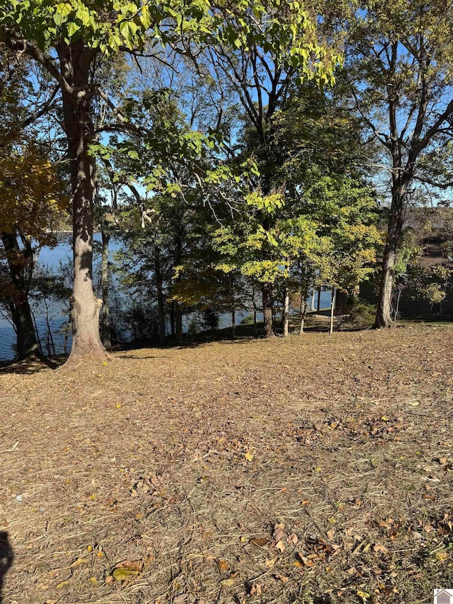 Lot 57 Rimcrest Cir unit Also known as Cheekw, Cadiz, KY 42211 - photo 4