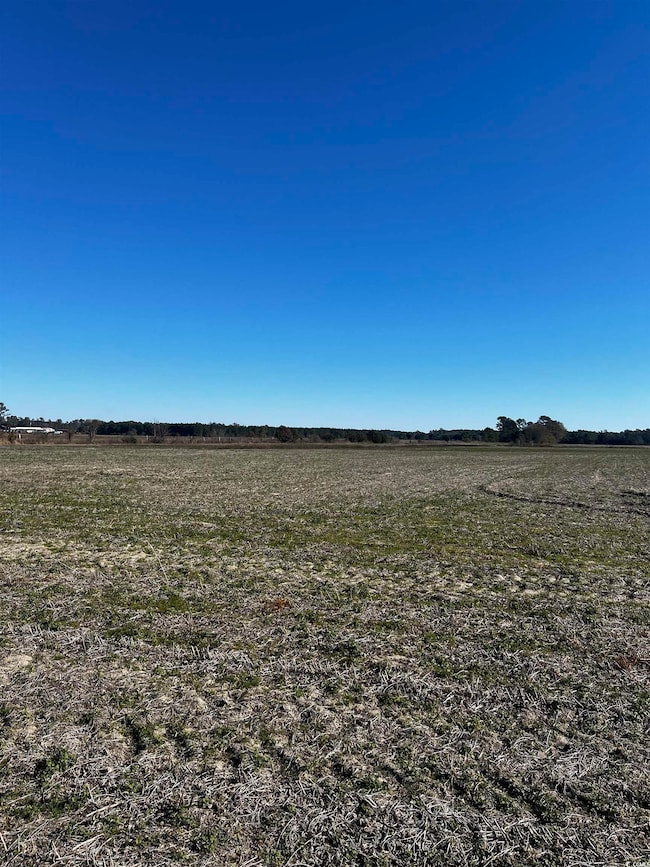 2292 Nichols Hwy, Aynor, SC 29511 - photo 3