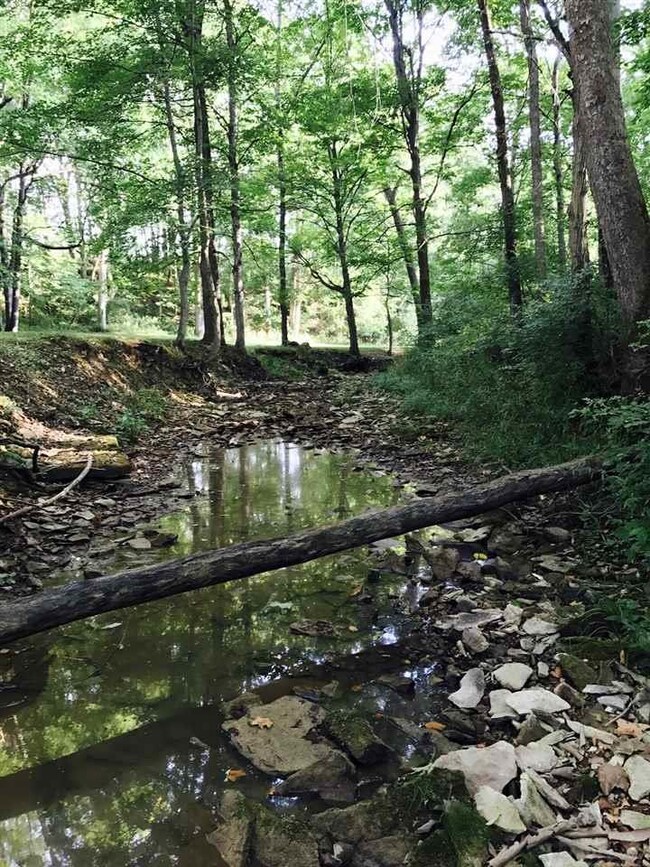 There are 2 creeks and 5 natural springs on the pr
