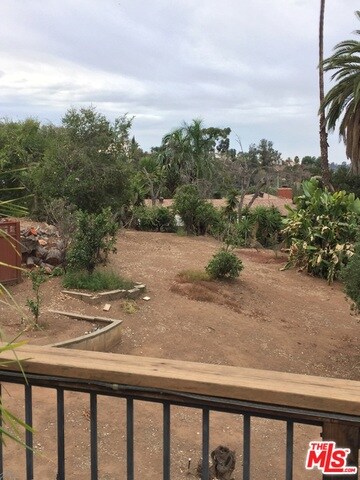 Back yard