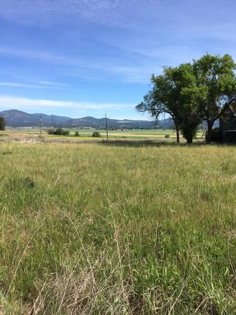 property and view