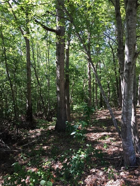 4490 Nc Highway 134, Asheboro, NC 27205 - photo 6