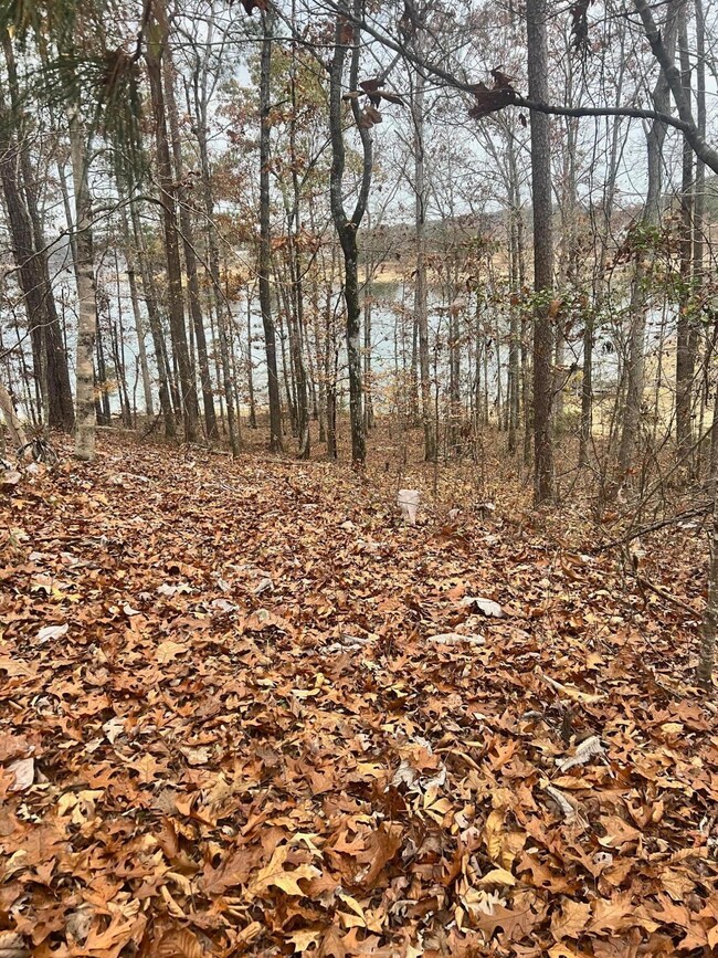 LOT 25 Lynnwood Estates Phase 2, Arley, AL 35541 - photo 6