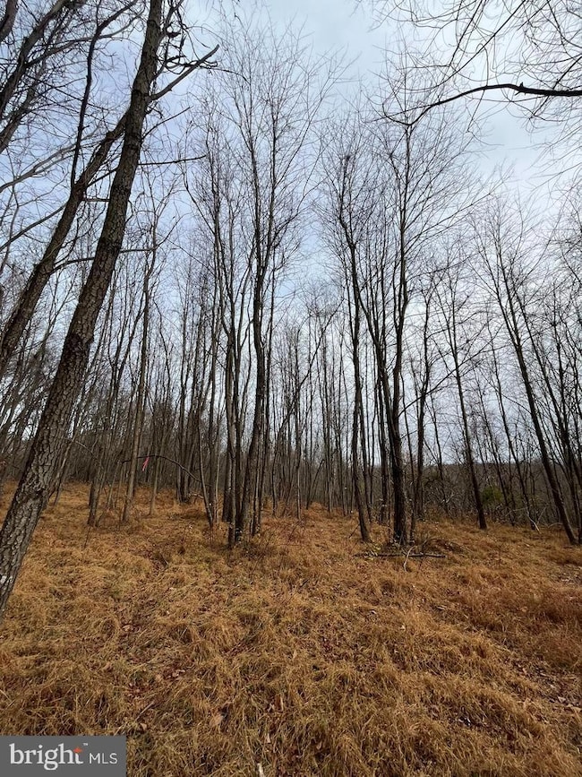 6452-B General Dr unit BURKE, Mount Airy, MD 21771 - photo 5