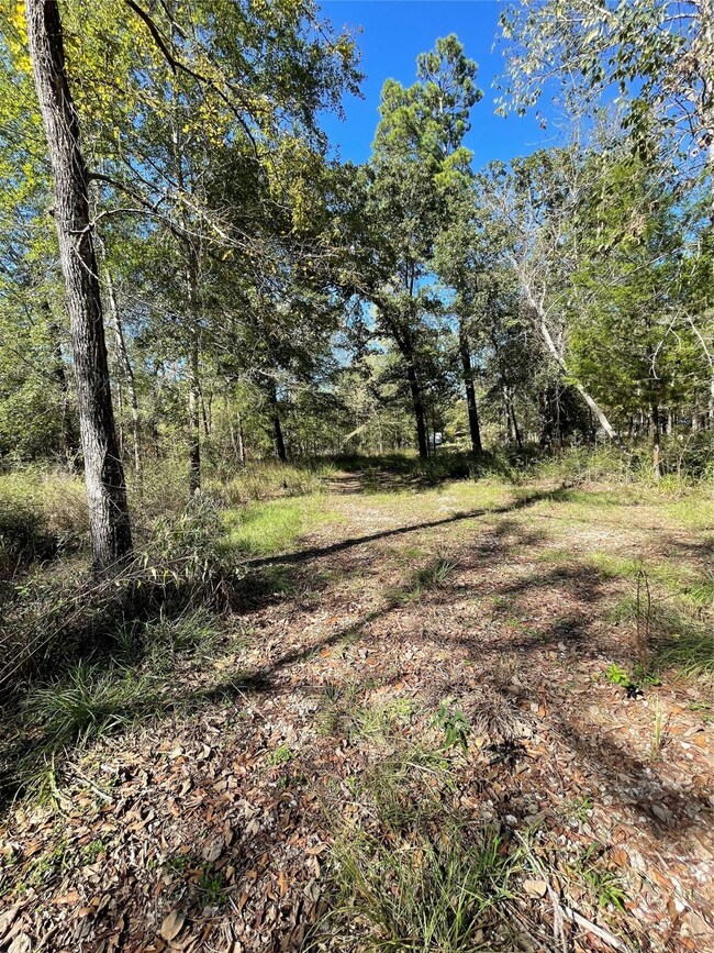 25399 Brushy Creek Dr, Hockley, TX 77447 - photo 7