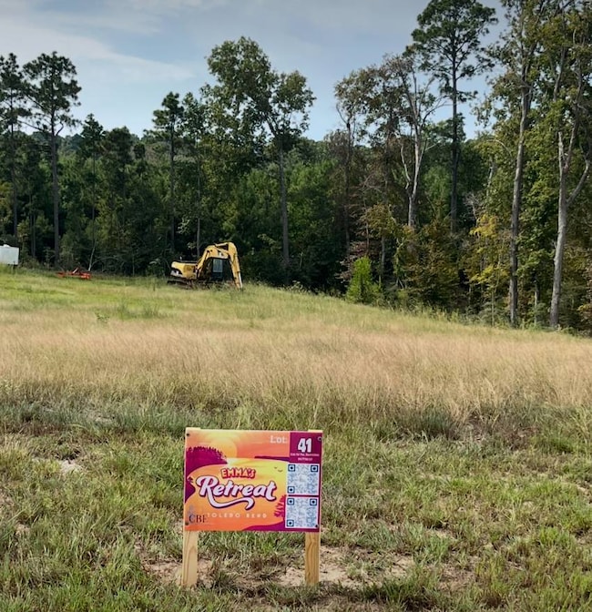 041 Wilderness Trail, Florien, LA 71429 - photo 2