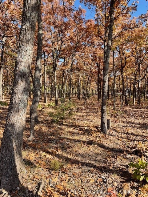 10 E 205th St S, Bixby, OK 74008 - photo 5