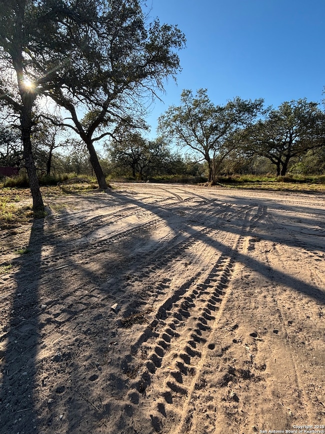 299 Praise Dr, Poteet, TX 78065 - photo 2