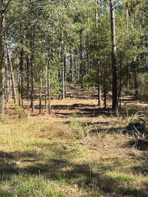 TBD FM 350 South, Lo Farm To Market 350, Livingston, TX 77351 - photo 5