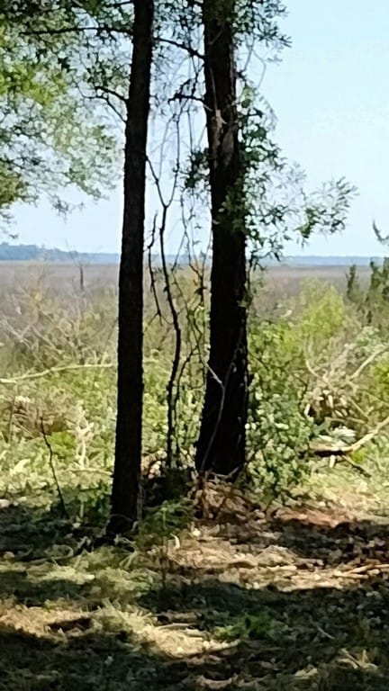 View from Marsh Lots 22, 27, 28, 29. 30