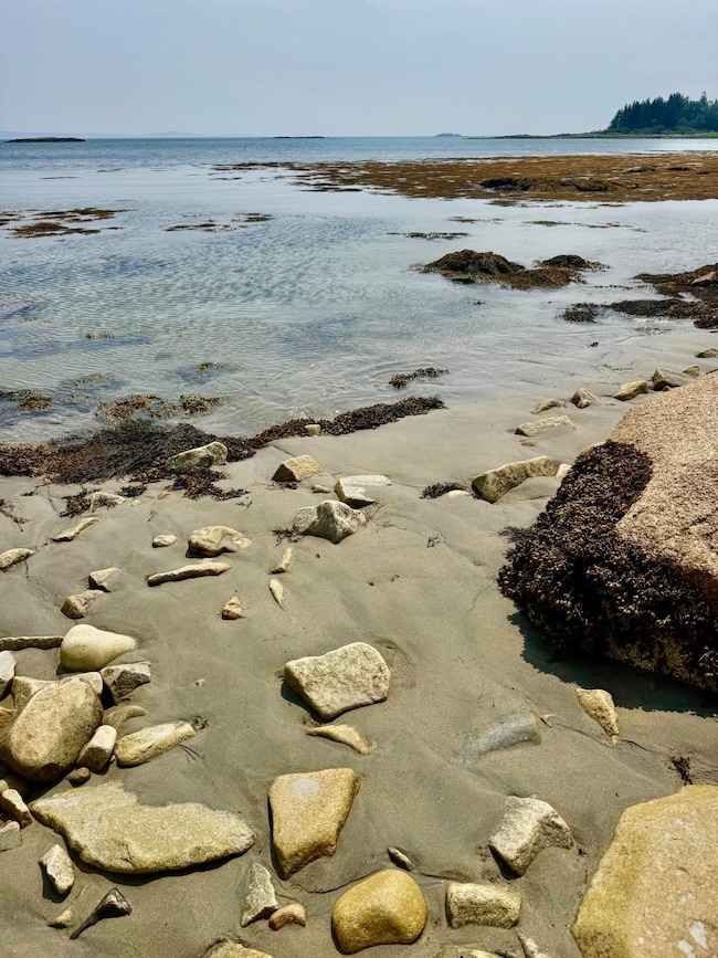 Lot #5 George Wright Rd, Vinalhaven, ME 04863 - photo 5
