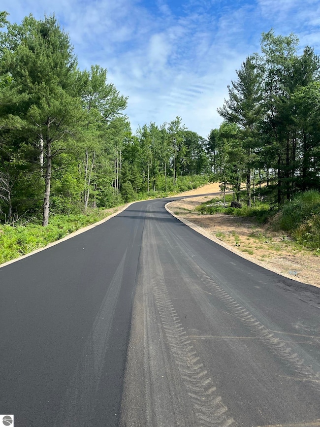 TBD Hoosier Flats Rd unit B, Traverse City, MI 49685 - photo 3