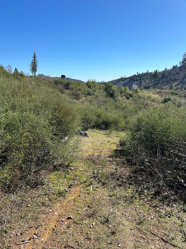 1234 Hog Ranch Rd, Concow, CA 95965 - photo 3