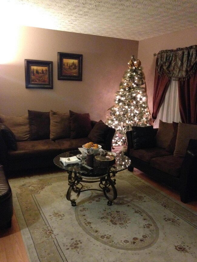 Living/Entry room