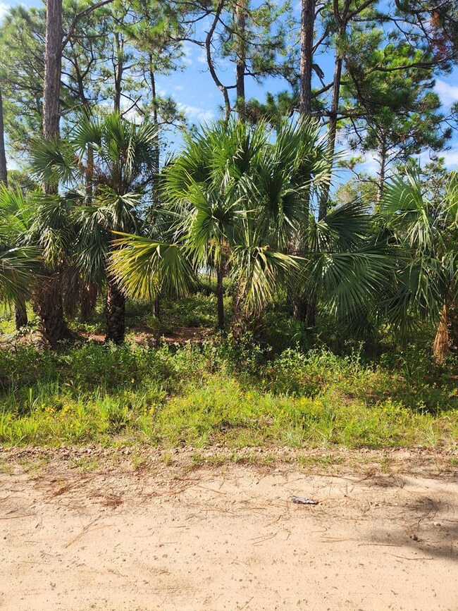 764 E Pine Ave unit 4, St. George Island, FL 32328 - photo 2