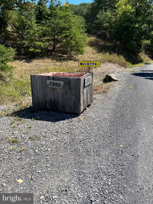 7992 Morgantown Rd, Maysville, WV 26833 - photo 5