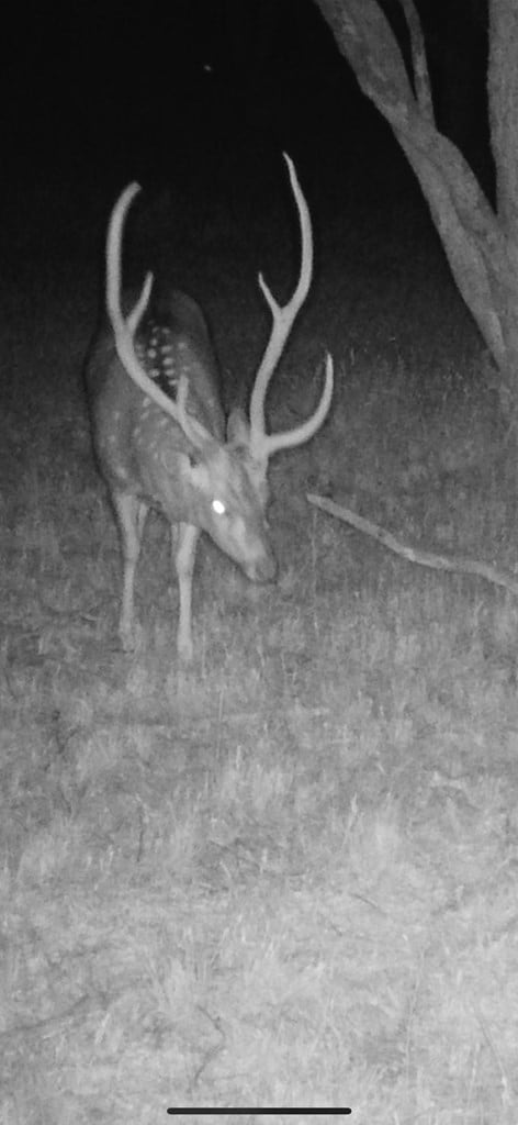 0000 Poverty Canyon Rd, Bronte, TX 76933 - photo 4