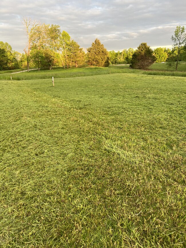 9360 Medlin Rd, Baxter, TN 38544 - photo 6