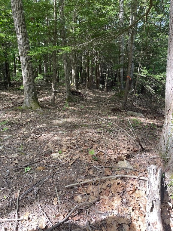 0 Rindge Turnpike, Ashburnham, MA 01430 - photo 2