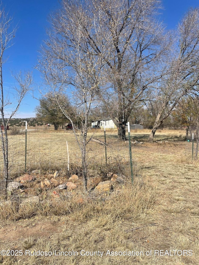 109 Salado Rd, Capitan, NM 88316 - photo 5