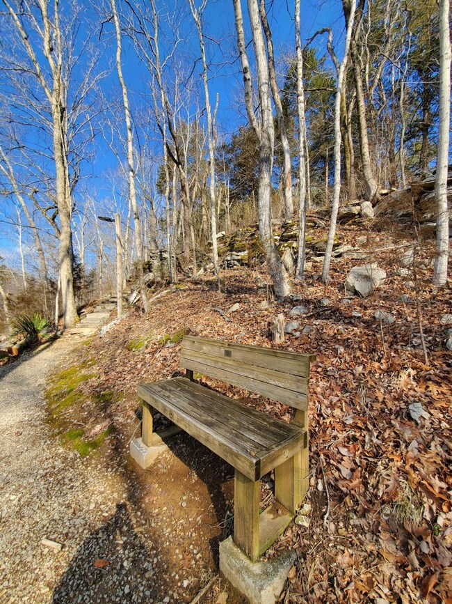 129 Buckeye Dr, Burnside, KY 42519 - photo 7