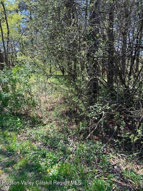 4 Catskill Ct, Coxsackie, NY 12015 - photo 6