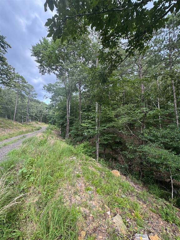 132 Western Cedar Trail, Hochatown, OK 74728 - photo 5