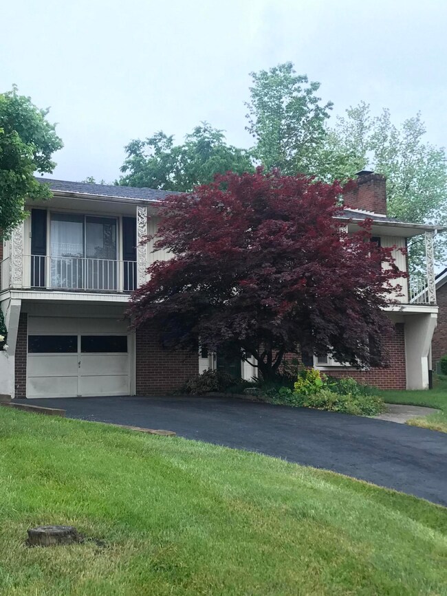 370 Runyon Rd, Harrodsburg, KY 40330 - photo 4