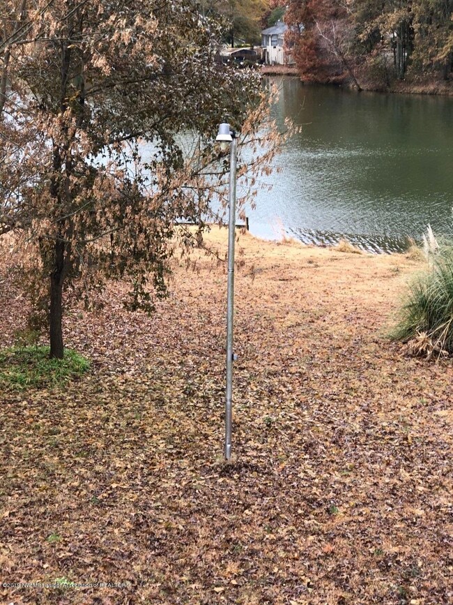 Thunderbird lake view