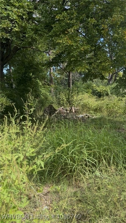 203 Holson Ave, Poteau, OK 74953 - photo 3