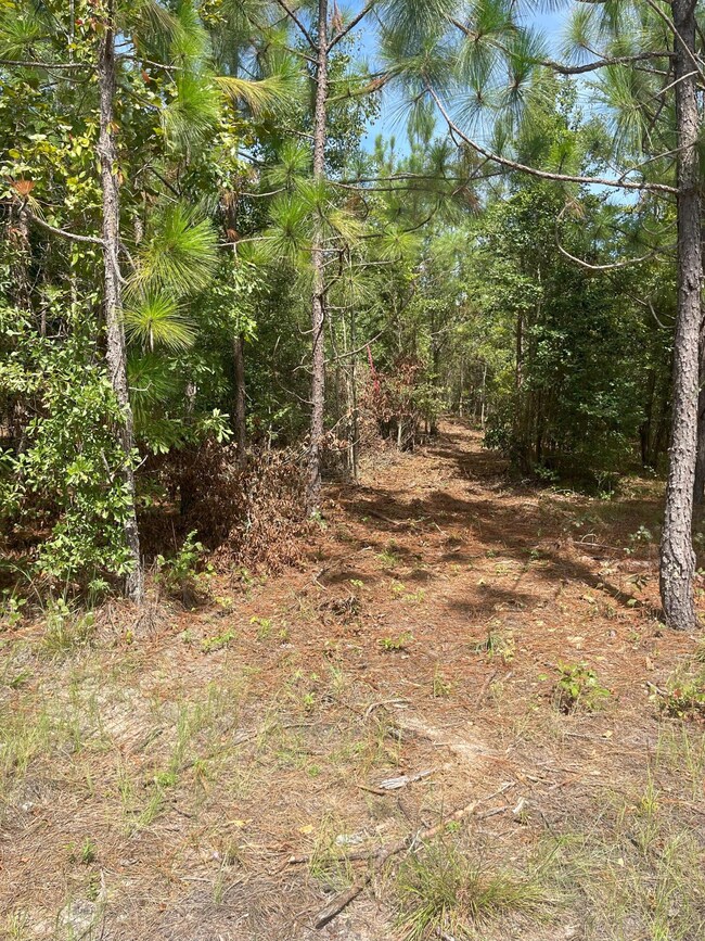 PPF 8 Payne Pond Rd unit PPF 8, Westville, SC 29175 - photo 3