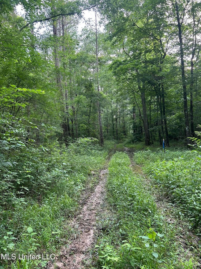 00 Old Highway 80 E, Morton, MS 39117 - photo 6