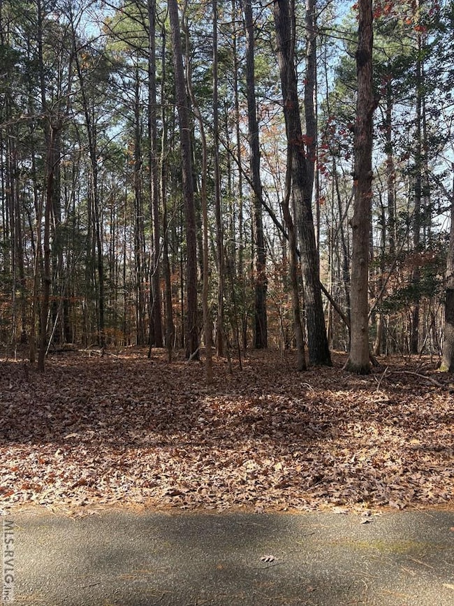 011, Bracey, VA 23919 - photo 5