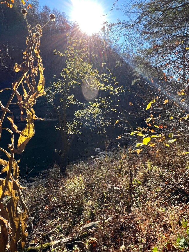 1844 Meece Rd, Somerset, KY 42501 - photo 3